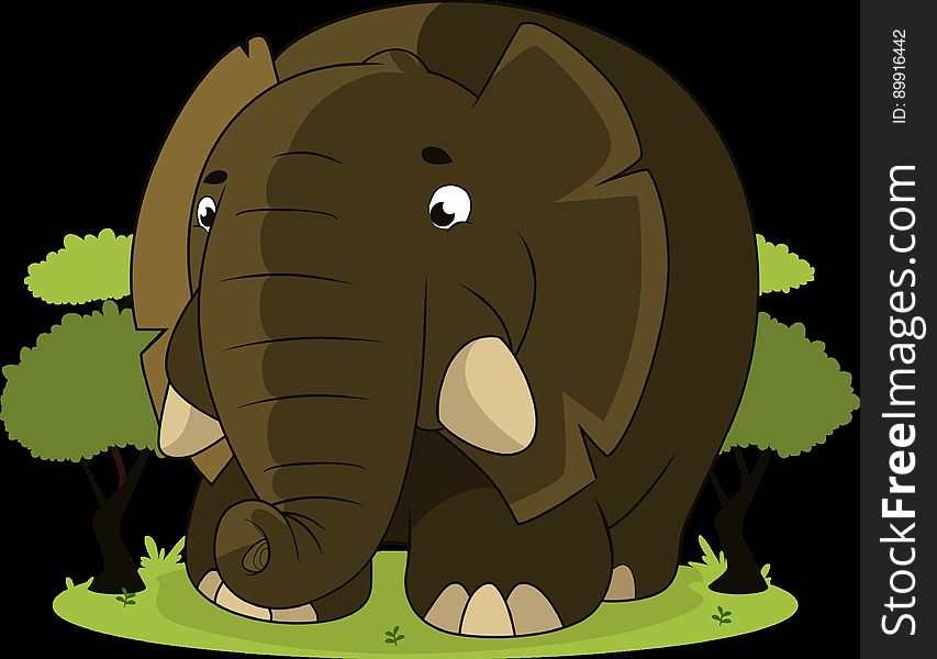 Elephants And Mammoths, Elephant, Mammal, Indian Elephant