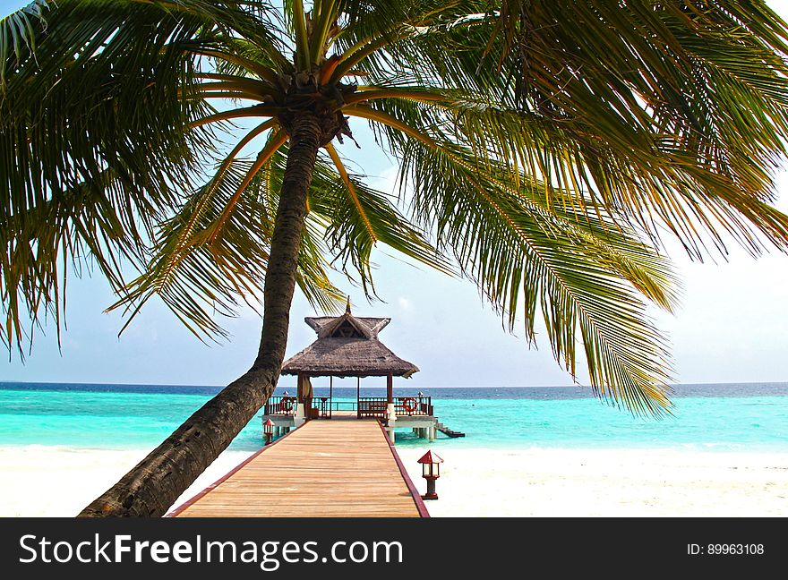 An exotic white sand beach with an overwater bungalow and a palm tree. An exotic white sand beach with an overwater bungalow and a palm tree.