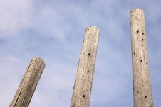 Trees Royalty Free Stock Photos Trees Royalty Free Stock Photos