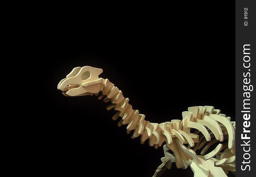 Dinosur skeleton. Dinosur skeleton