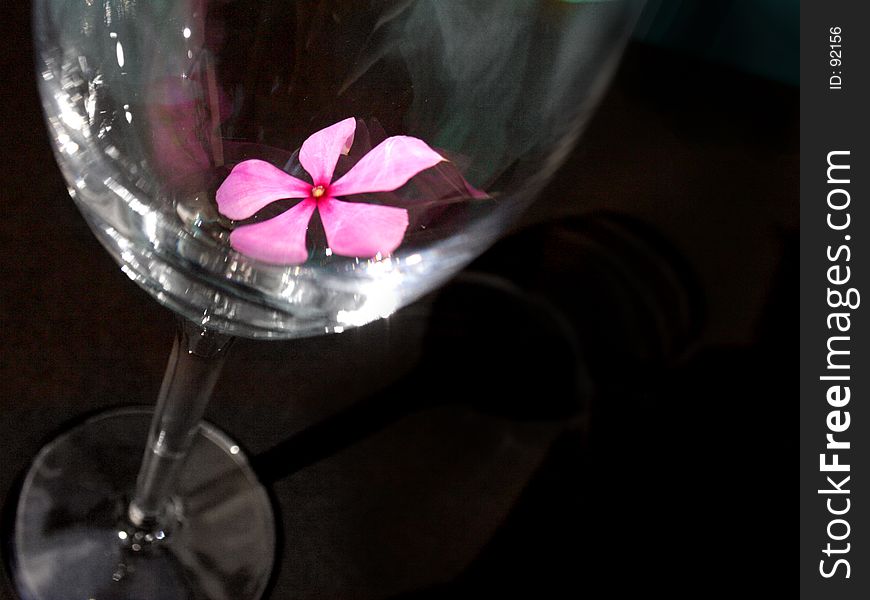 A flower in a wine glass. A flower in a wine glass