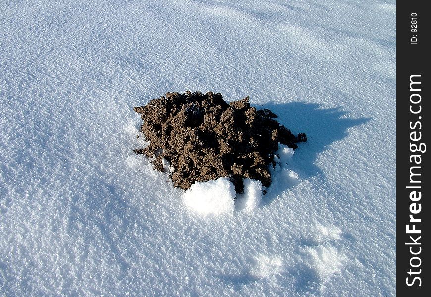 Mole-hill in winter, nature photo. Mole-hill in winter, nature photo