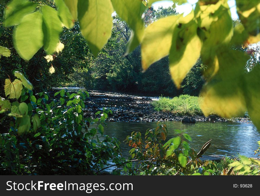 Naperville River Walk.