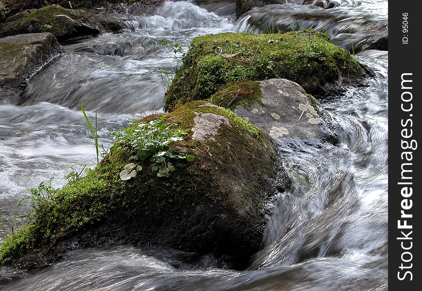 Detail of a mountain stream in a forest. Detail of a mountain stream in a forest