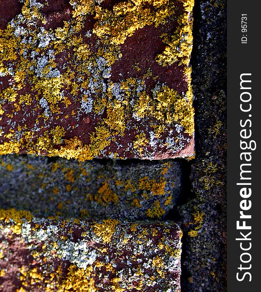 Closeup of bricks with moss