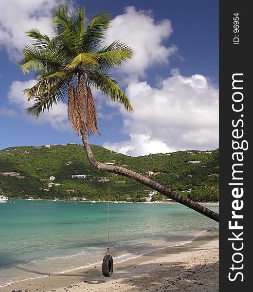 A palm on the caribbean beach at Cane Garden Bay / Tortola. A palm on the caribbean beach at Cane Garden Bay / Tortola...