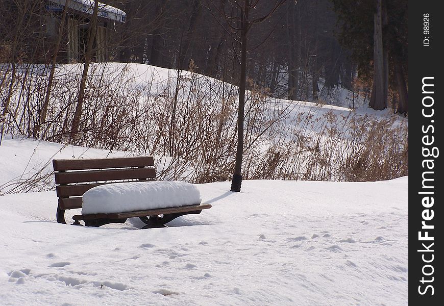 Snow covered bench in winter. Snow covered bench in winter