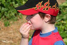 Boy Enjoying A Strawberry2 Royalty Free Stock Photos Boy Enjoying A Strawberry2 Royalty Free Stock Photos