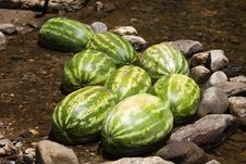 Cold Watermelon! Royalty Free Stock Photography Cold Watermelon! Royalty Free Stock Photography