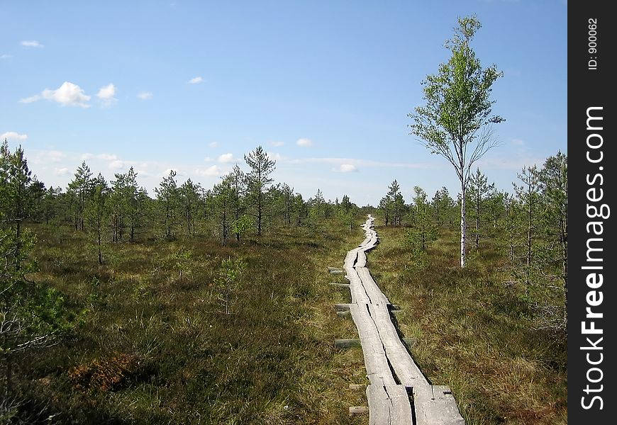 Marsh landscape in a clear spring day. Marsh landscape in a clear spring day.