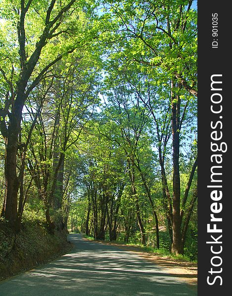 The countryside of northern California in springtime. The countryside of northern California in springtime