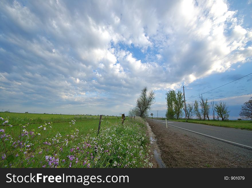 Spring countryside