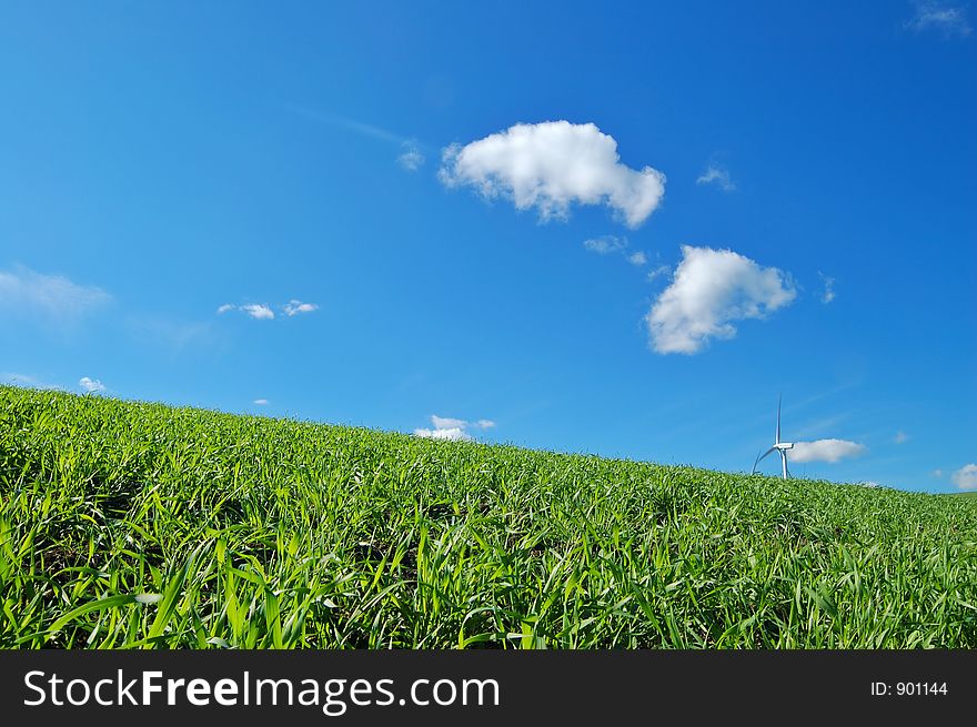 Field in the spring. Field in the spring