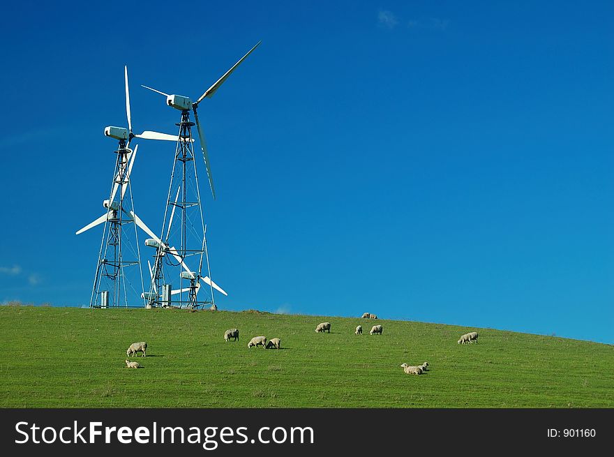 Rural countryside on a spring afternoon