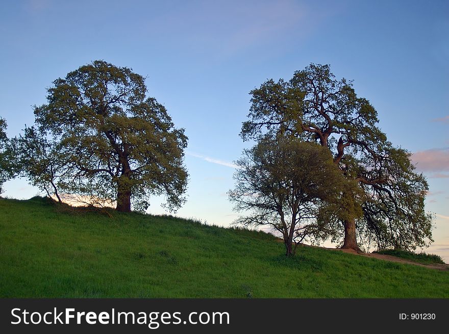The countryside of northern California in springtime. The countryside of northern California in springtime