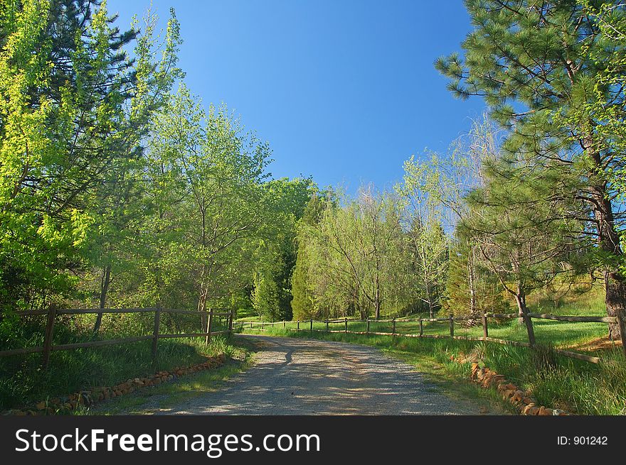 The countryside of northern California in springtime. The countryside of northern California in springtime