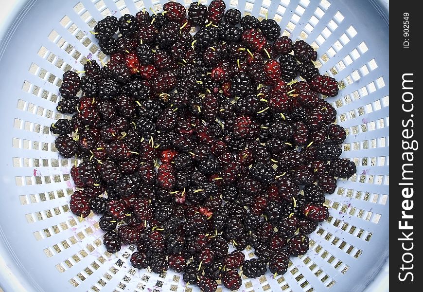 A close-up of blackberries in a colander after being rinsed. A close-up of blackberries in a colander after being rinsed.