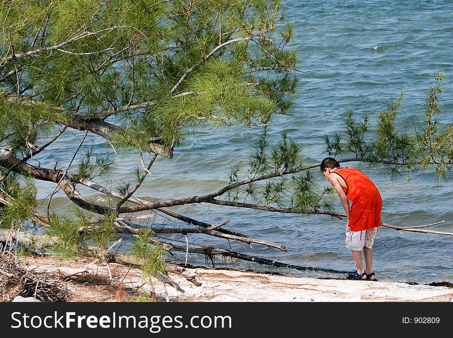 Young boy exploring nature on an island beach. Young boy exploring nature on an island beach