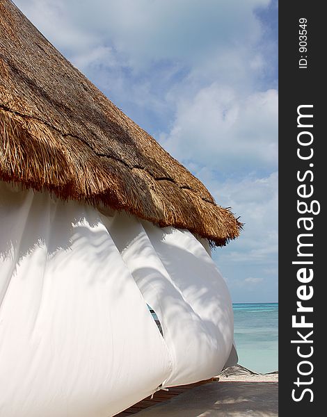 Beach detail in Cancun, Quintana Roo, Mexico