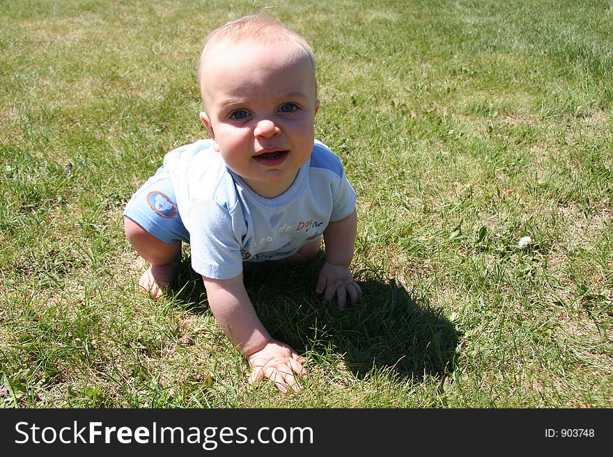 Boy Crawling in Grass on nice summer day