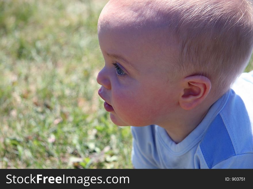 Little Boy Closeup