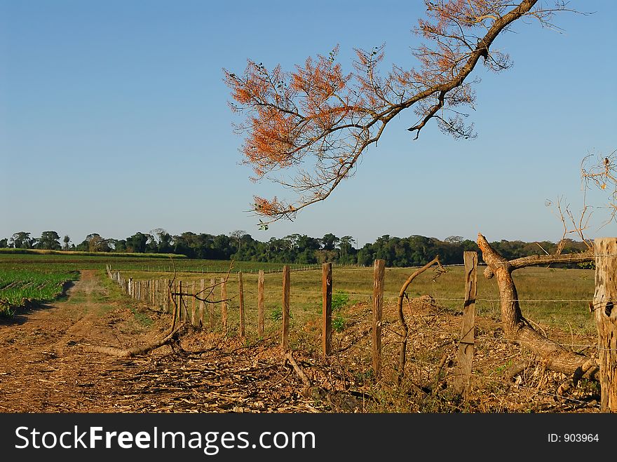 A fence in a farm