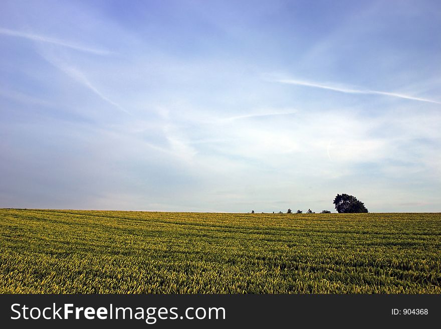 Rural Landscape