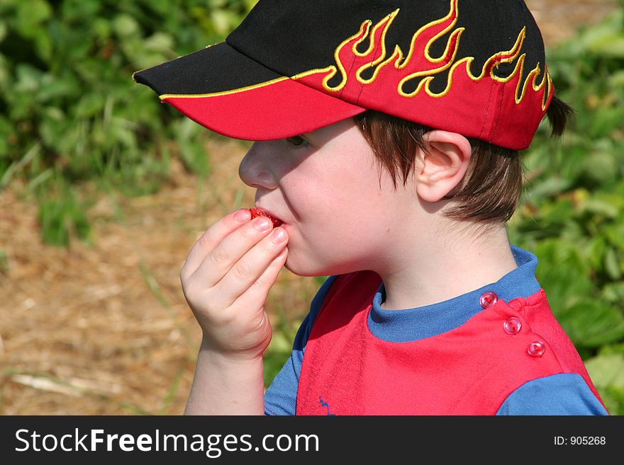 Boy Enjoying A Strawberry2