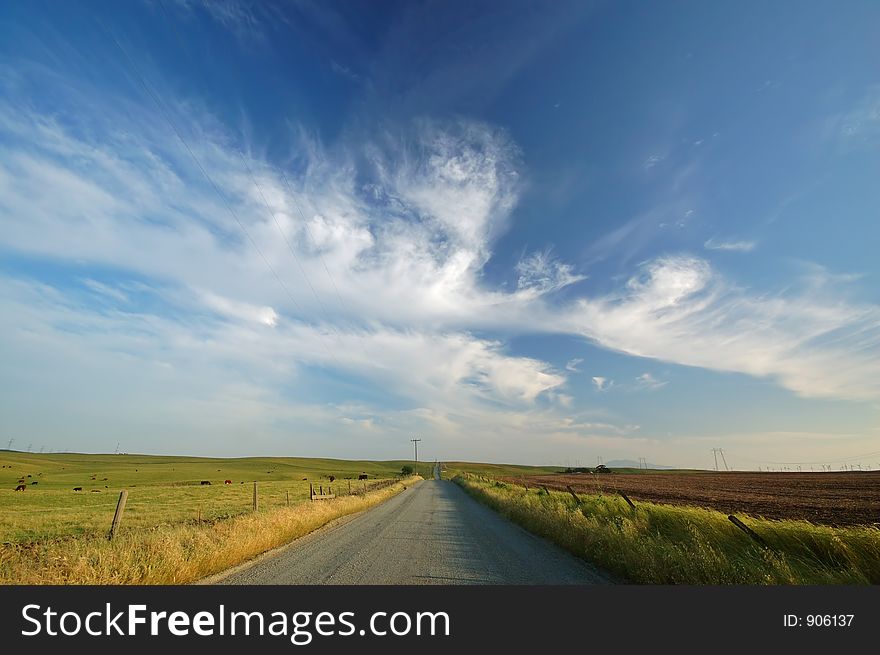 Rural farm field. Rural farm field