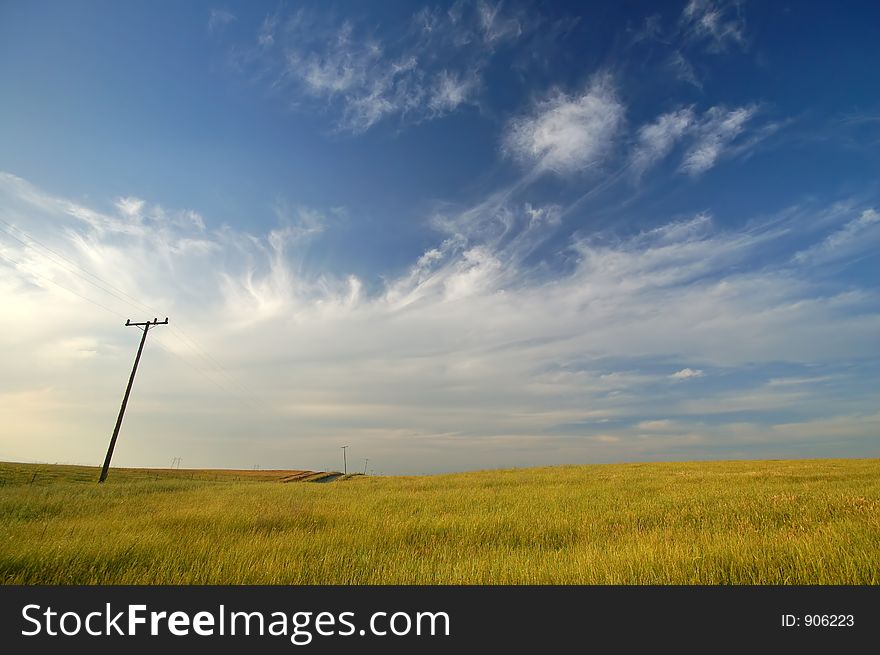 Rural farm field. Rural farm field