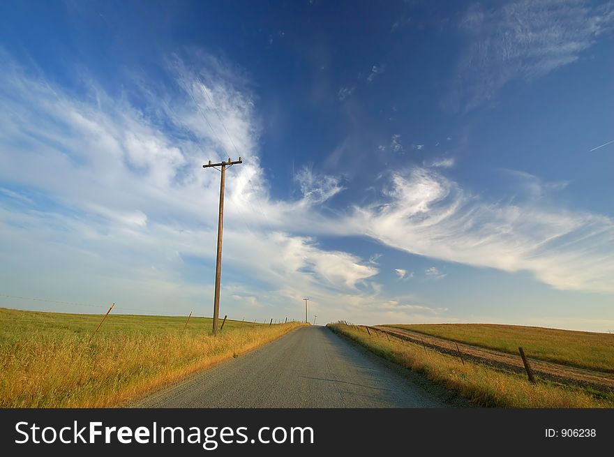 Rural farm field. Rural farm field