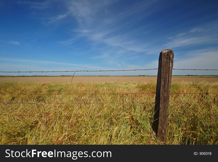 Agricultural Field