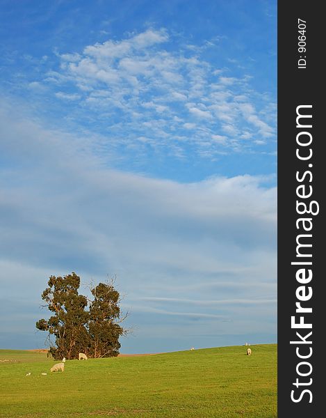 Rural countryside on a spring afternoon