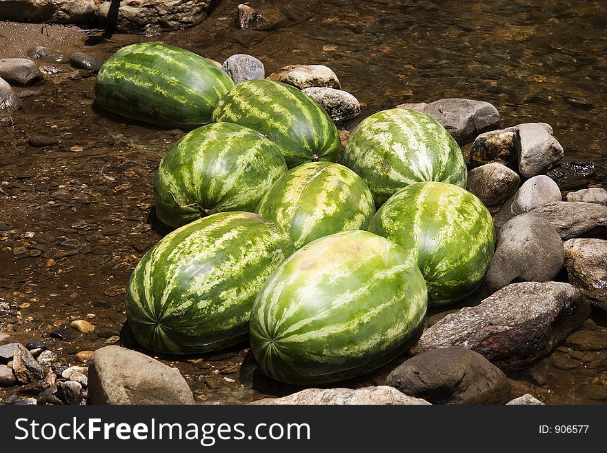 Watermelon Cooling in a Mountain Creek. Watermelon Cooling in a Mountain Creek