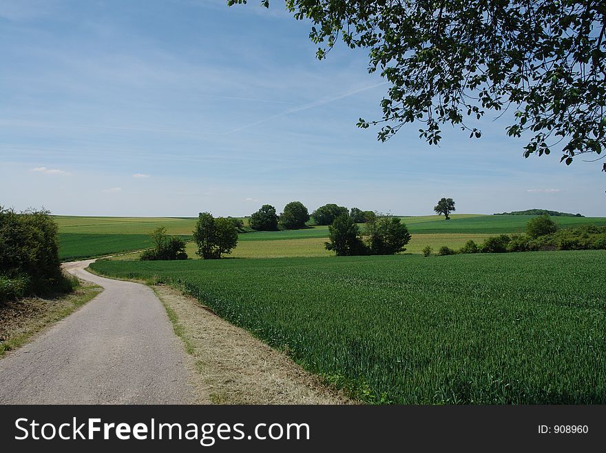 A track through summer fileds and trees in southern Germany on a hot summer day. It seems to end somewhere in the distance. A track through summer fileds and trees in southern Germany on a hot summer day. It seems to end somewhere in the distance.