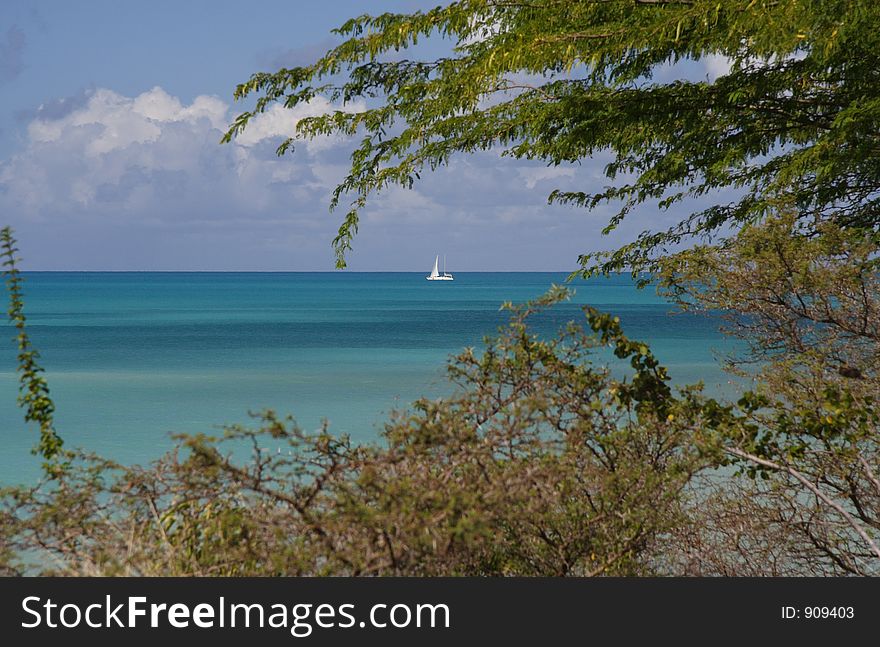 Beautiful caribbean coastline with a sailing boat in the background. Beautiful caribbean coastline with a sailing boat in the background