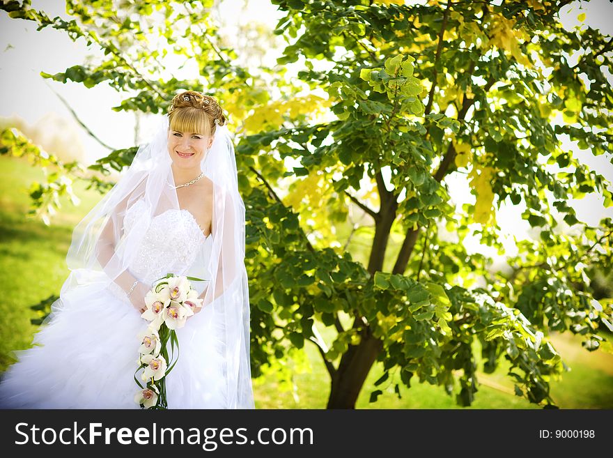 A bride in the park. A bride in the park