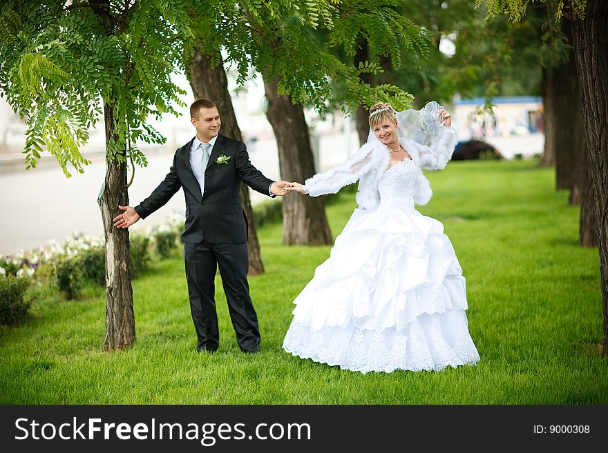 Bride and groom kissing in the park. Bride and groom kissing in the park