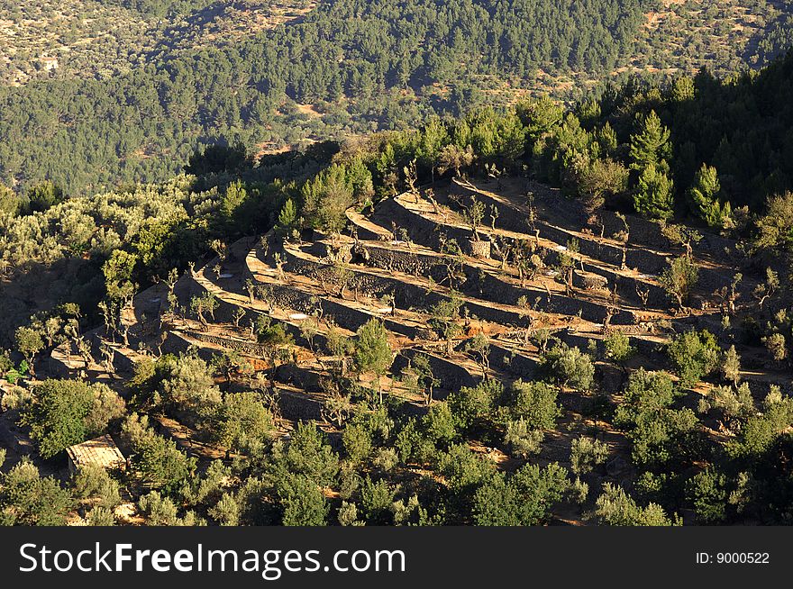 An agricultural dry stone wall near port soller, mallorca, spain