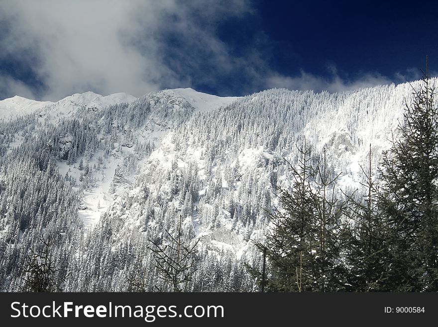 Snowed Ridge