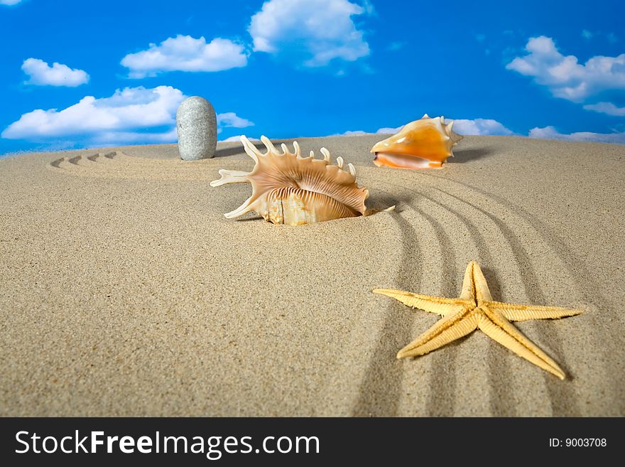 Landscape with seashell and stones on sky background