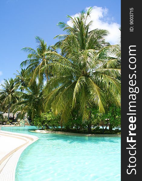 Tropical swimming pool and beautiful water with palms