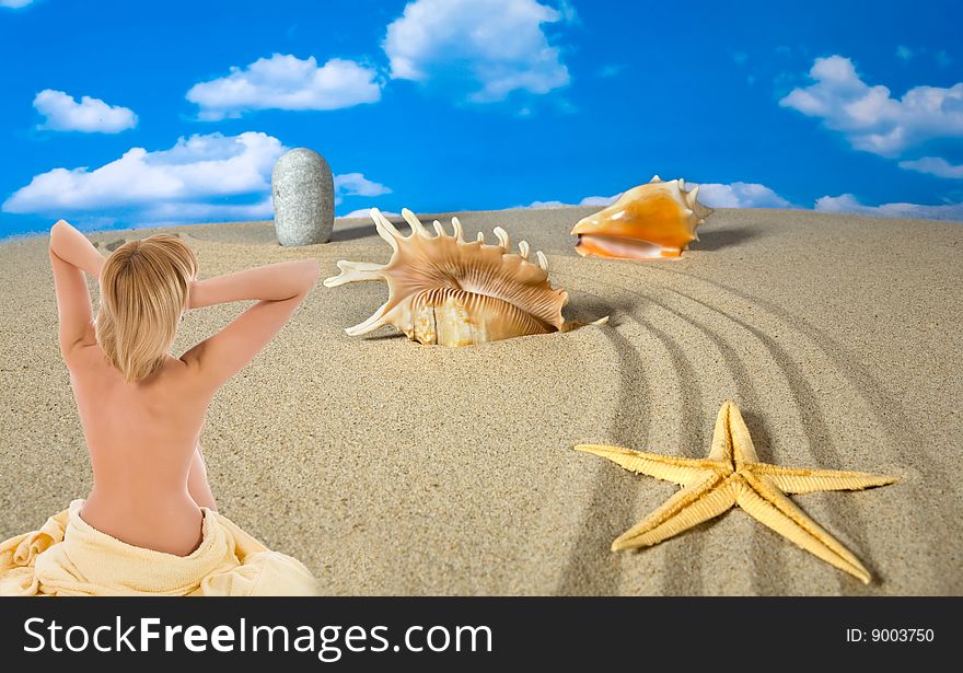 Landscape with seashell and stones on sky background