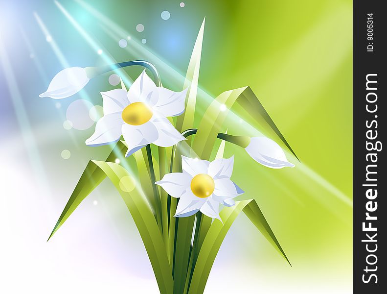 Colored spring flowers, vector file, Color and layers can be customized. Colored spring flowers, vector file, Color and layers can be customized.