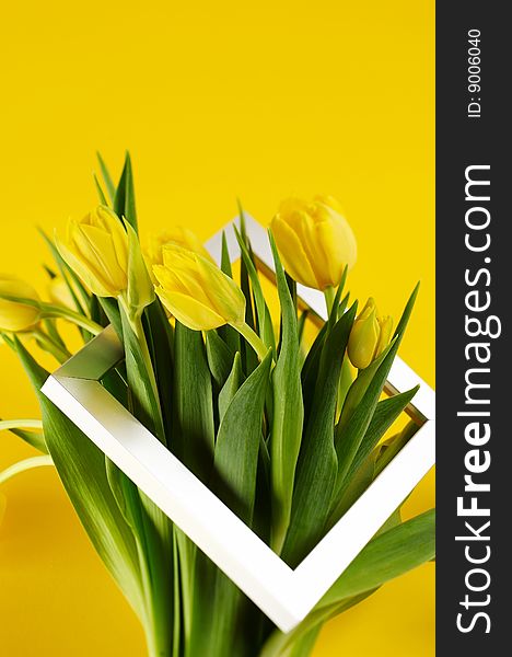Bunch of yellow tulip flowers with silver photo frame