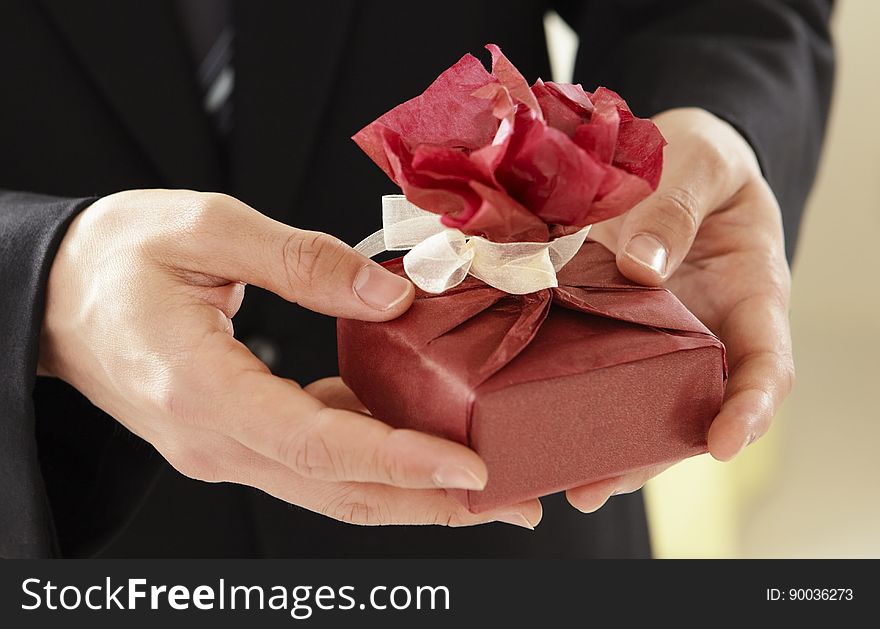 A close up of an elegant man`s hands holding a wrapped present. A close up of an elegant man`s hands holding a wrapped present.