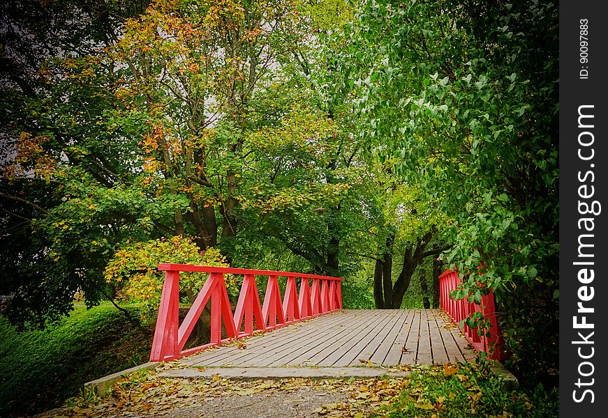 A bridge with red handrails in the park in the autumn. A bridge with red handrails in the park in the autumn.