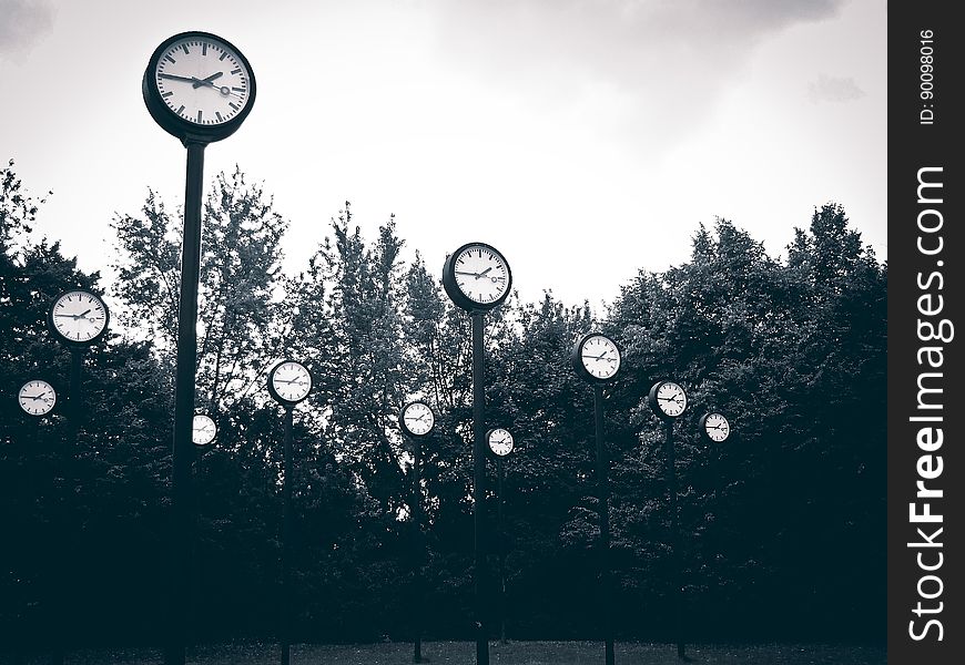 Monochrome view of group of clocks on tall poles in park with trees in background.