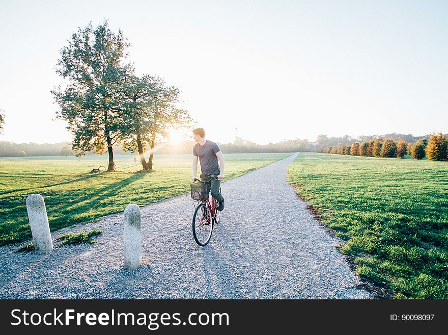 Scenic view of a man cycling in the countryside with autumn forest in background. Scenic view of a man cycling in the countryside with autumn forest in background.