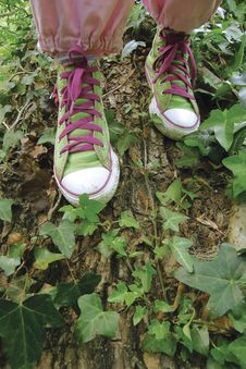 Sneakers, Tennis Shoe Royalty Free Stock Photos Sneakers, Tennis Shoe Royalty Free Stock Photos